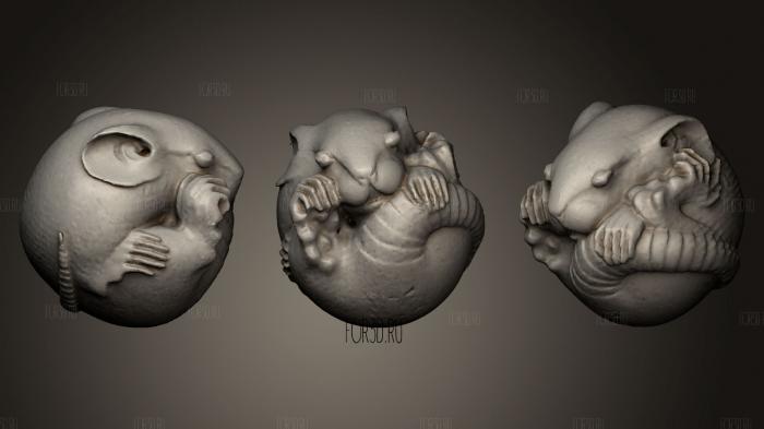 Curled Rat netsuke stl model for CNC